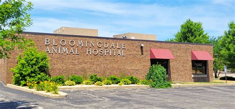 Bloomingdale animal hospital - Bloomingdale Animal Hospital. Categories. Veterinarians. 290 Glen Ellyn Rd. Bloomingdale IL 60108 (630) 893-4330 (630) 893-0396; Visit Website; Hours: Monday-Thursday ... 